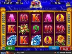 Solstice Celebration